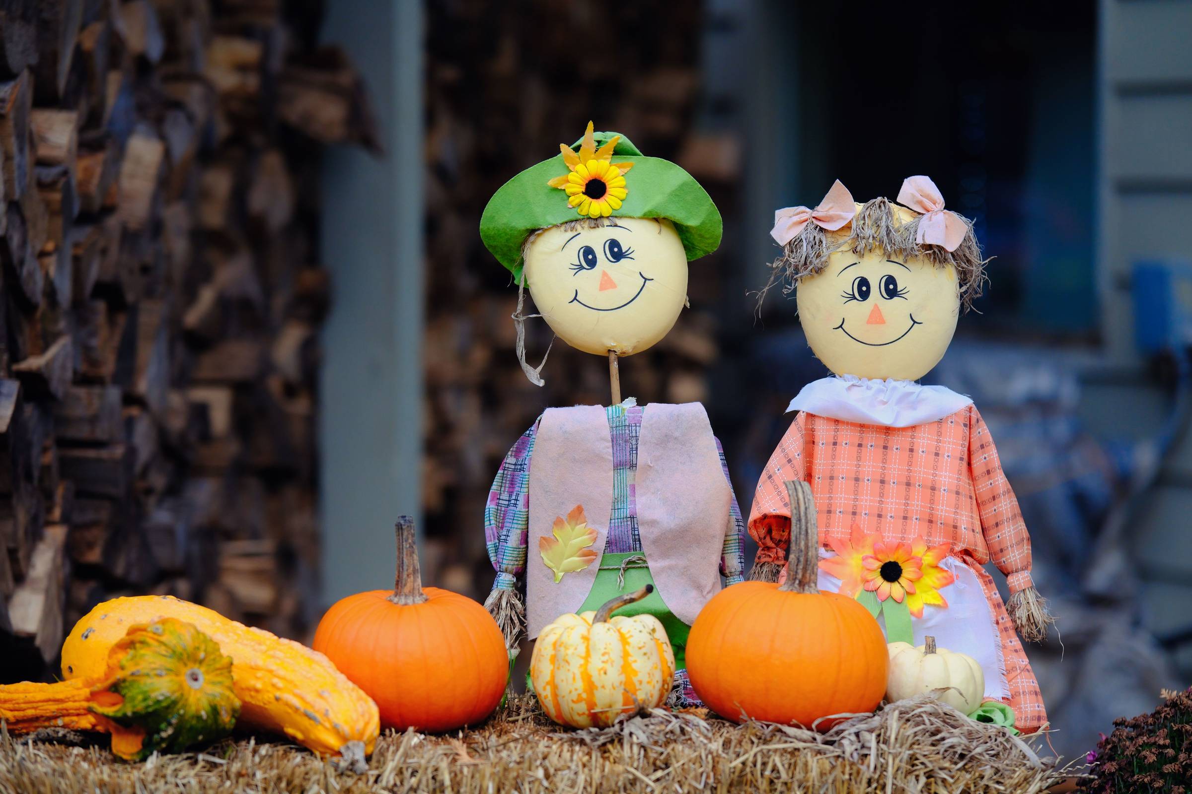 South Jersey Weekend Guide: Fall Festivals & Things to Do October 2–4, 2026