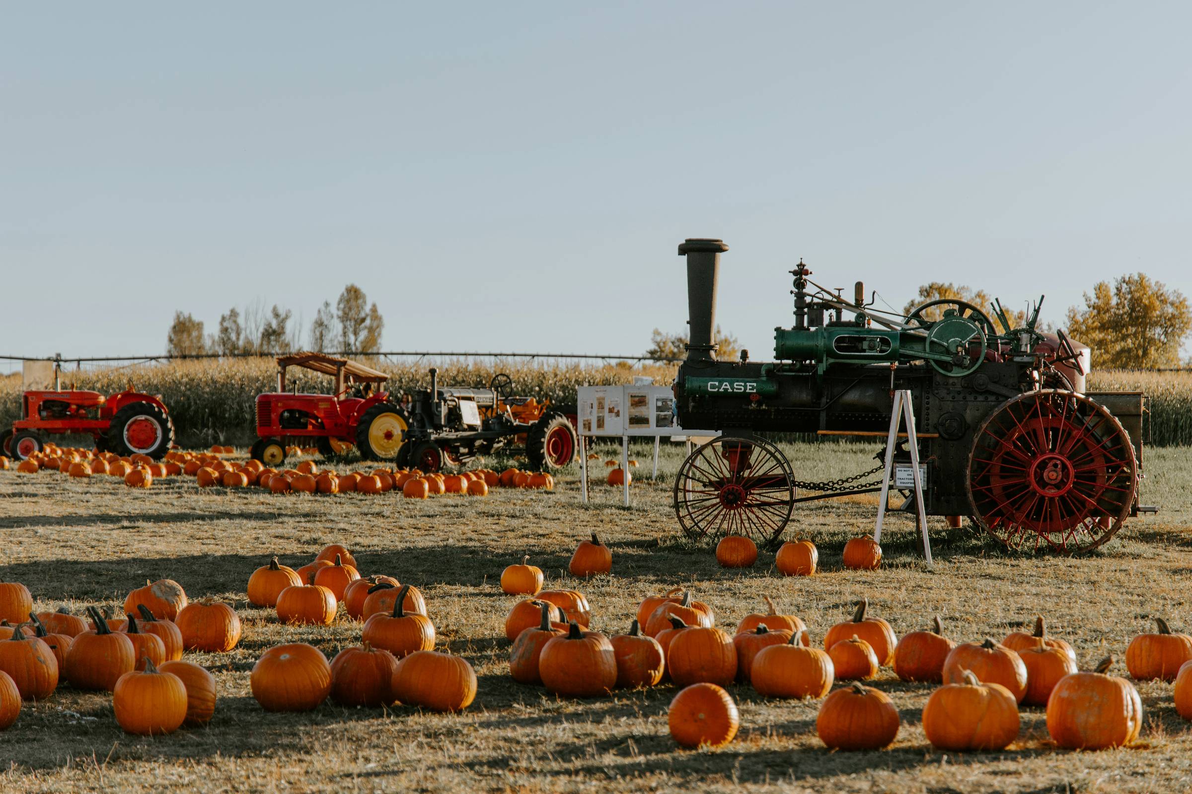South Jersey Weekend Guide: Things to Do September 25–27, 2026