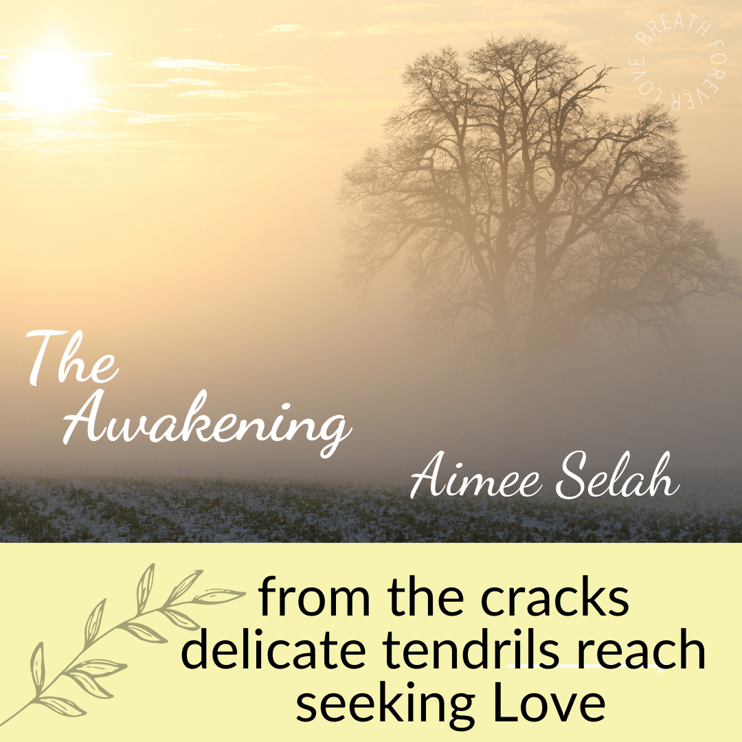 thumbnail placeholder