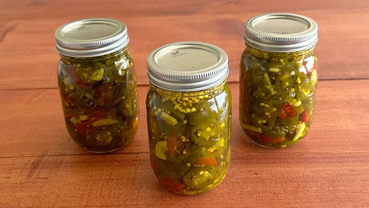 Three mason jars of Candied Jalapeños 