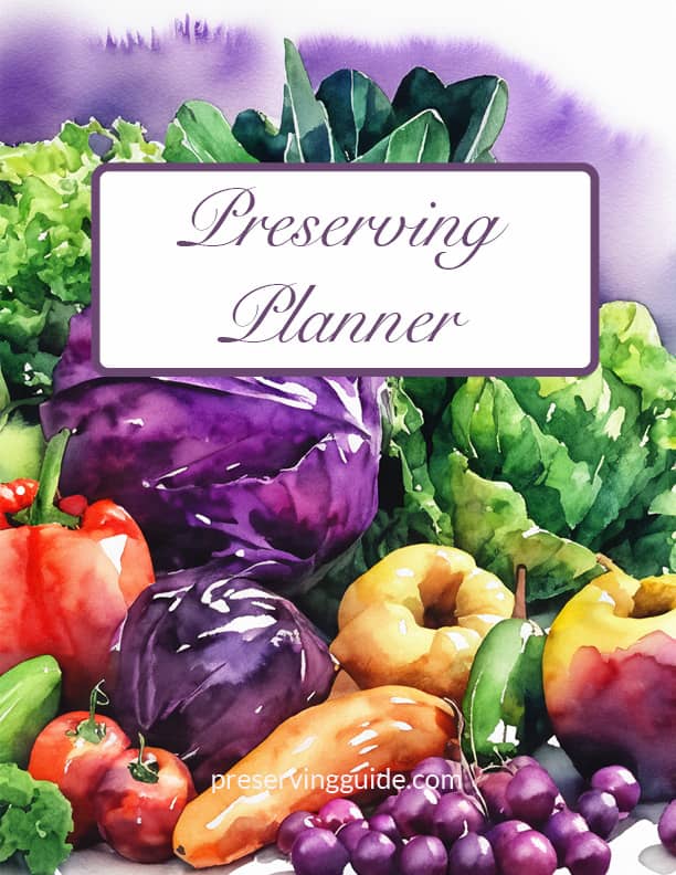 Preserving Planner