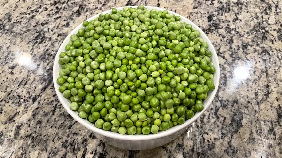 White Bowl full of freshly harvested garden peas.