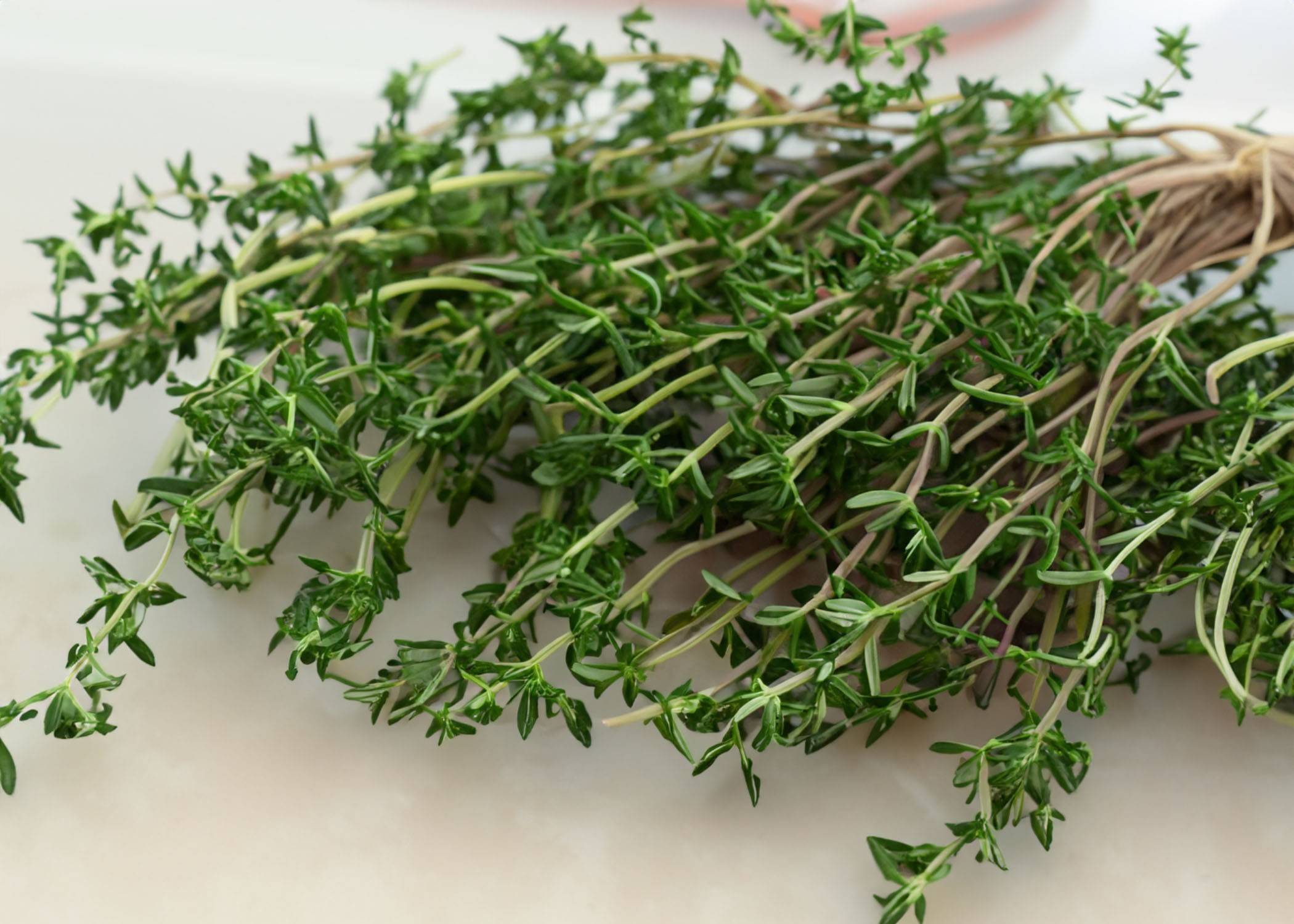 Fresh herbs sitting on a counter.