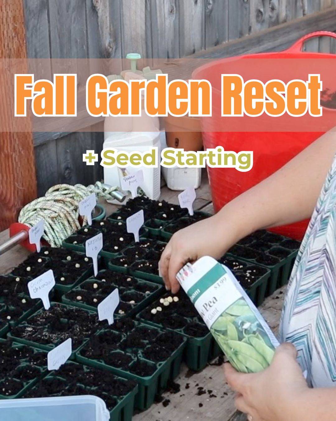 vego garden seedling trays