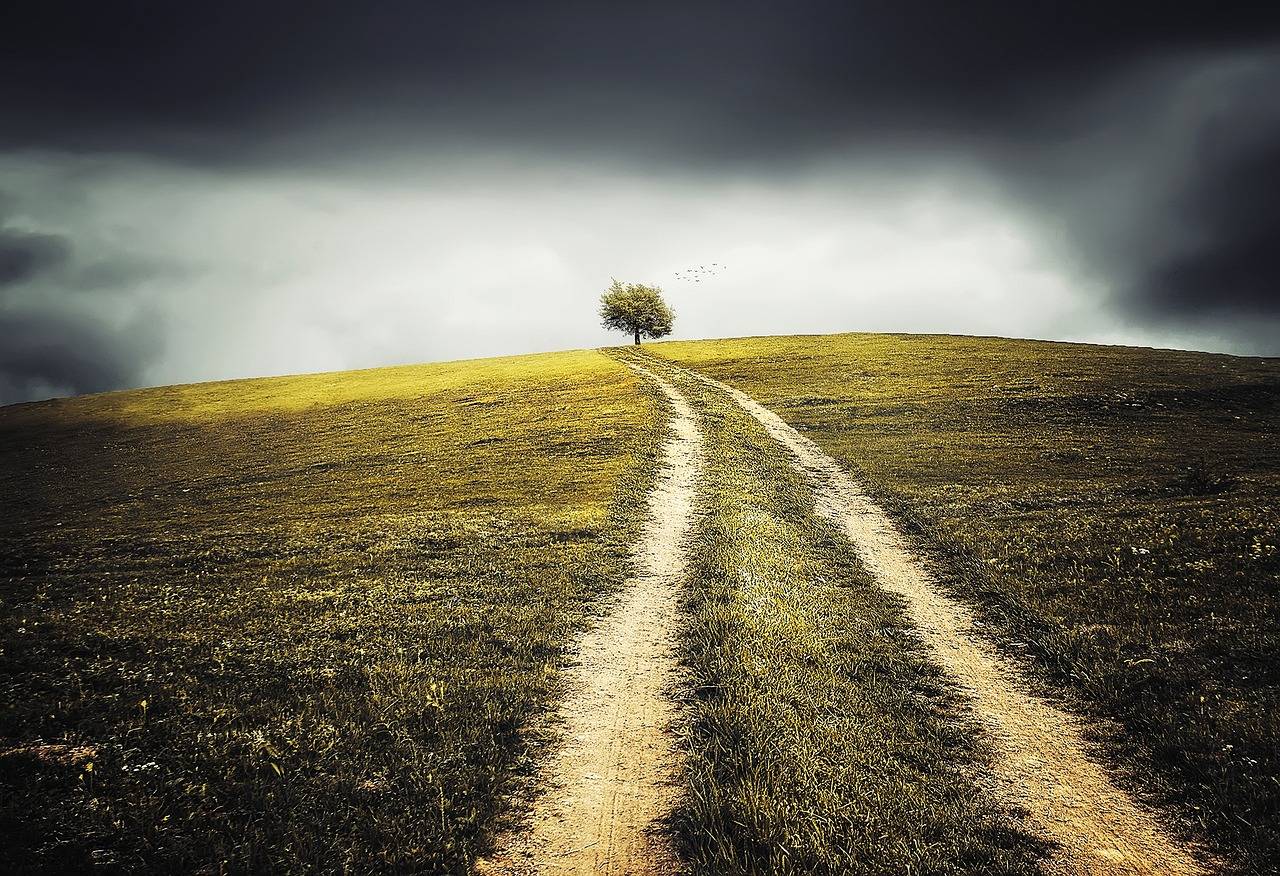 A winding dirt path leads up a gently sloping hill with a single tree at the top. Dark, dramatic clouds fill the sky, contrasting with the bright light illuminating the grassy landscape. Birds are flying near the tree.