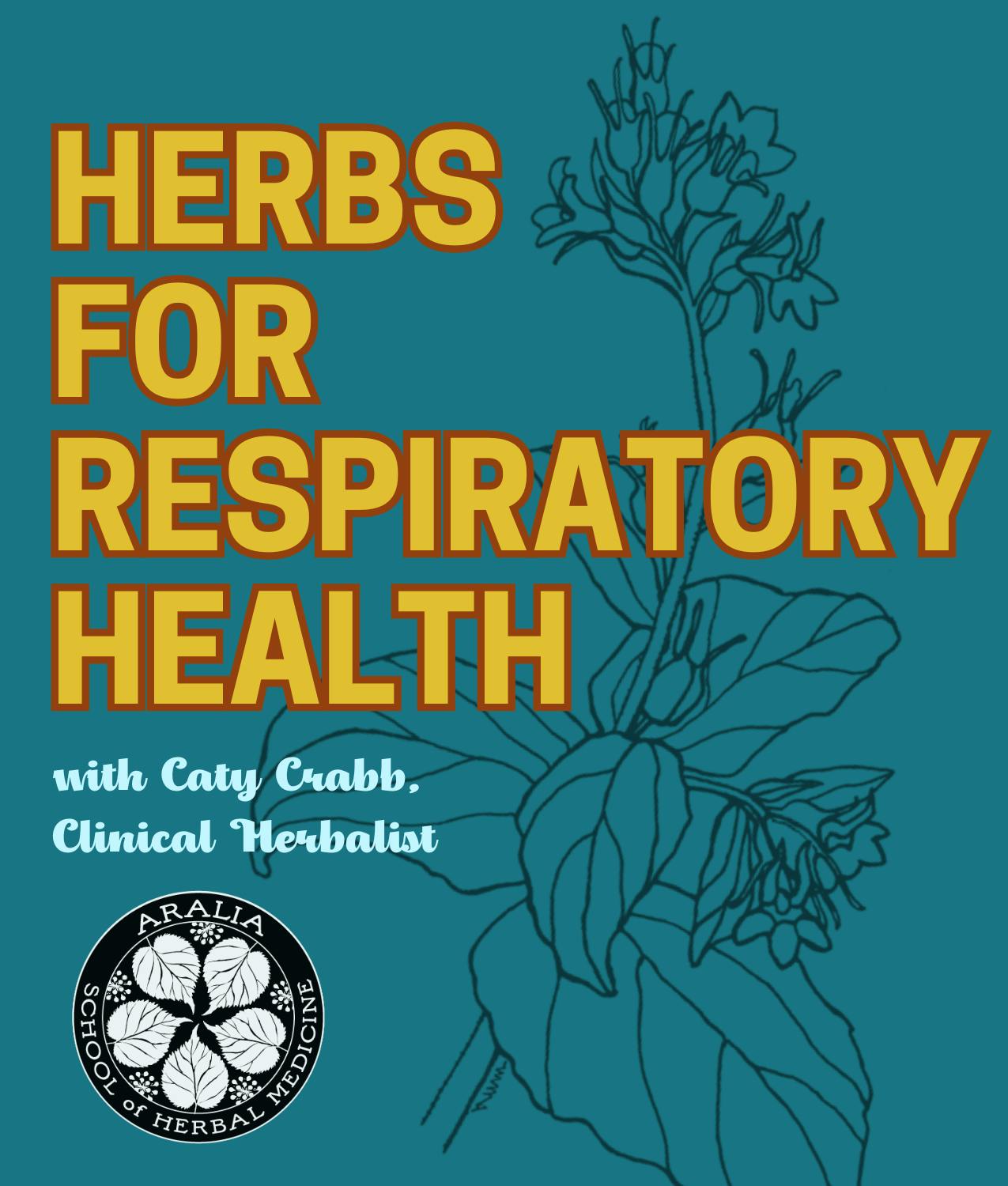 Herbs for Respiratory Health