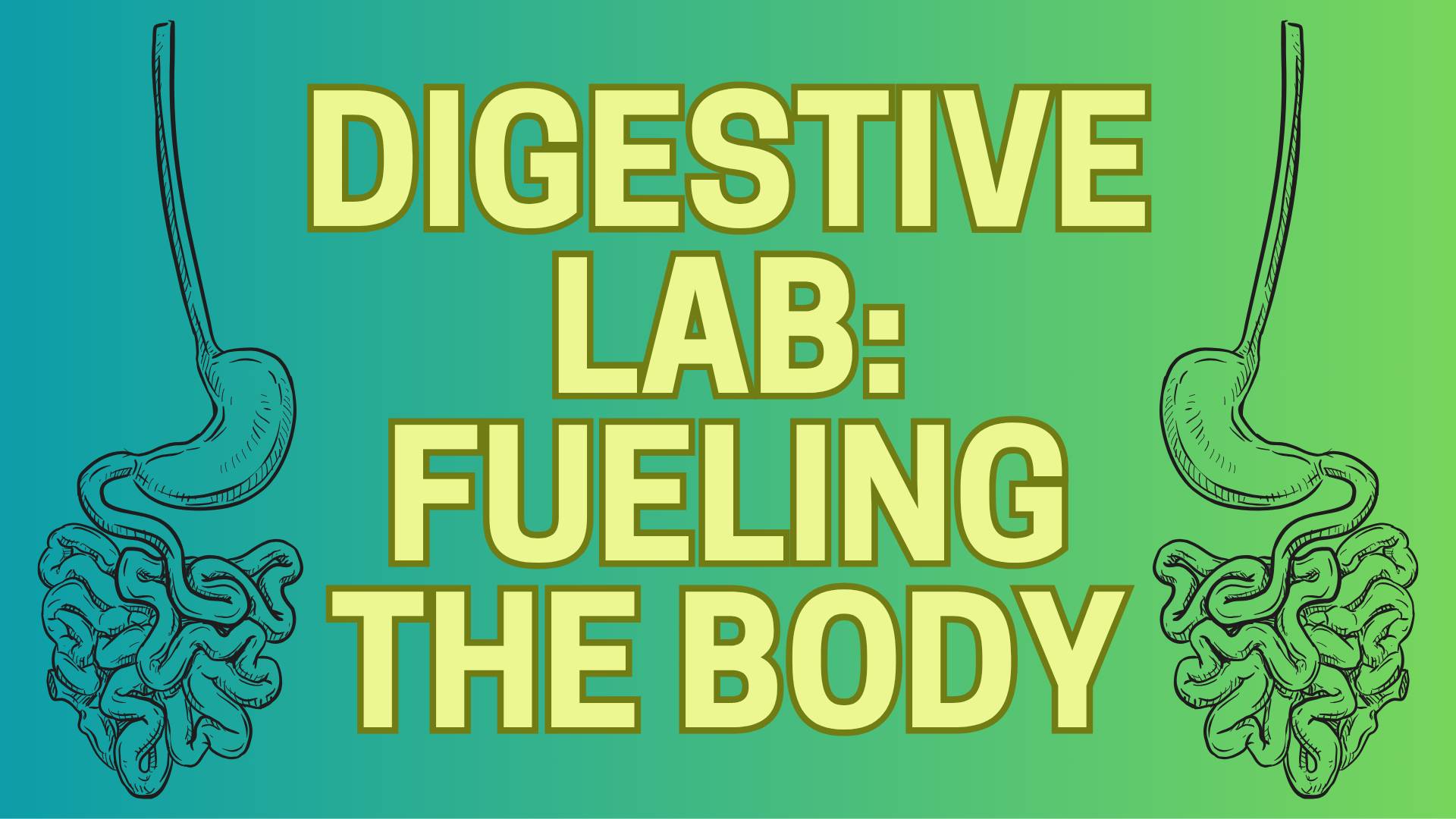 Colorful background with GI tract drawings and block text Digestive Lab: Fueling the Body