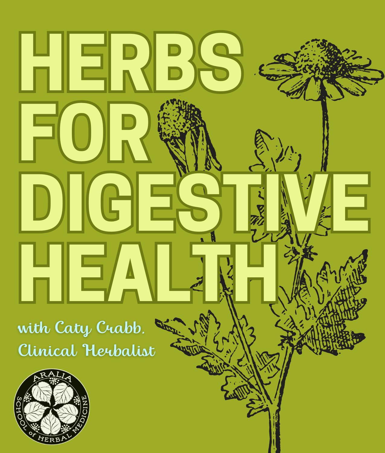 Herbs for Digestive Health