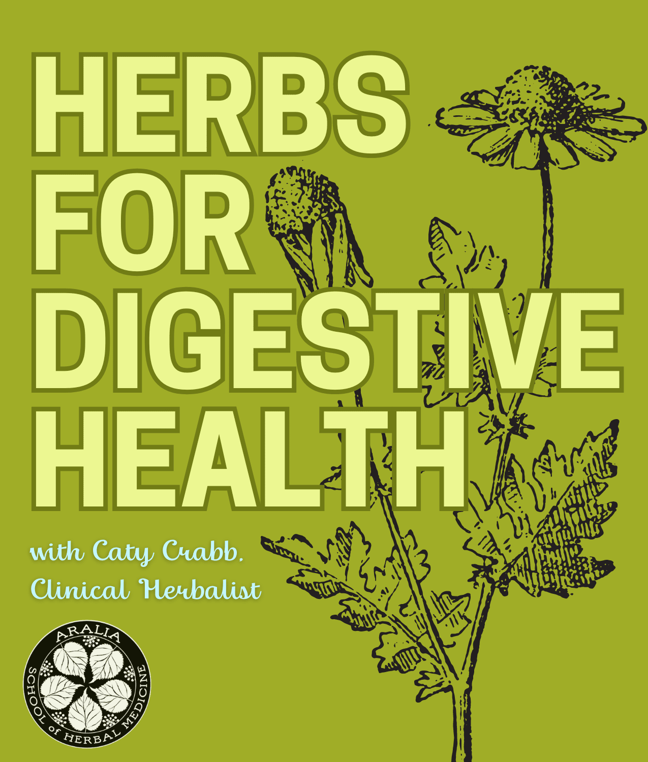 Text Herbs for Digestive Health with a line drawing of chamomile in the background