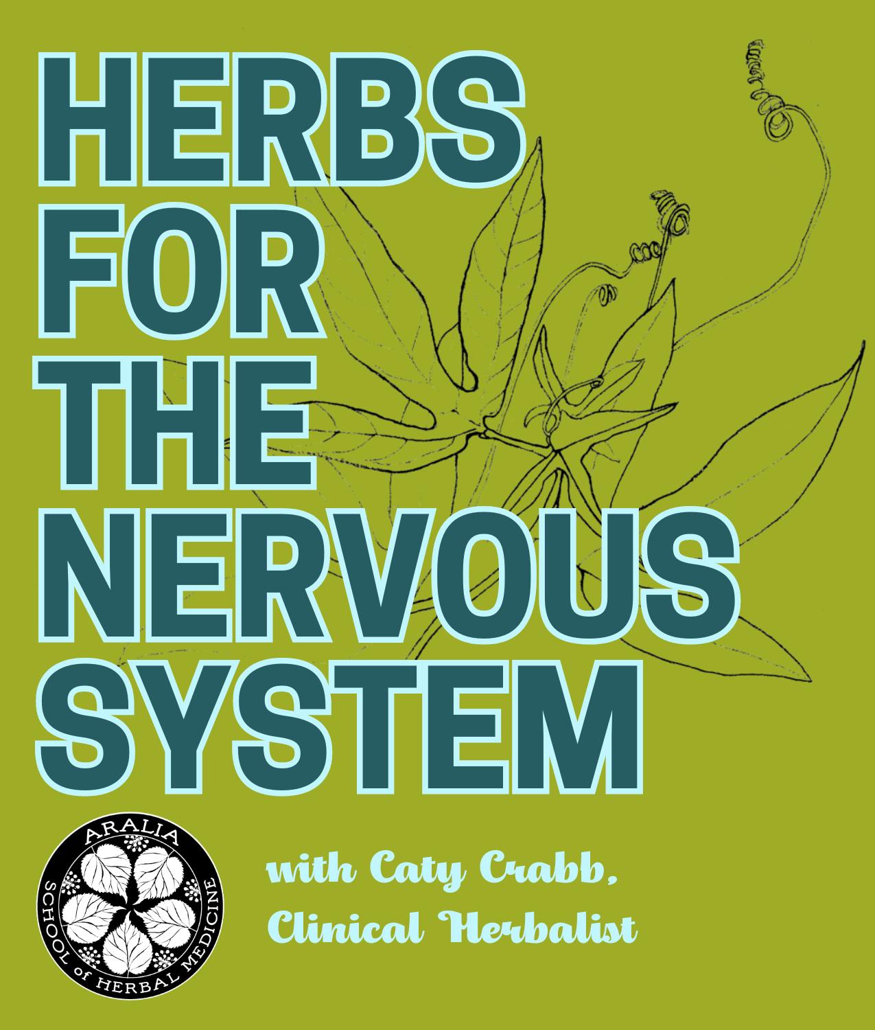 Herbs for the Nervous System