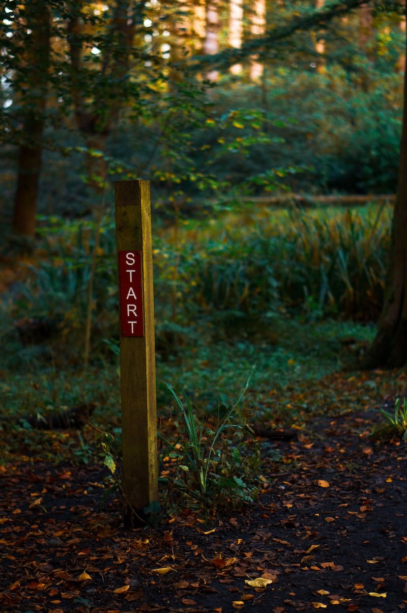 Post in the woods, starting point