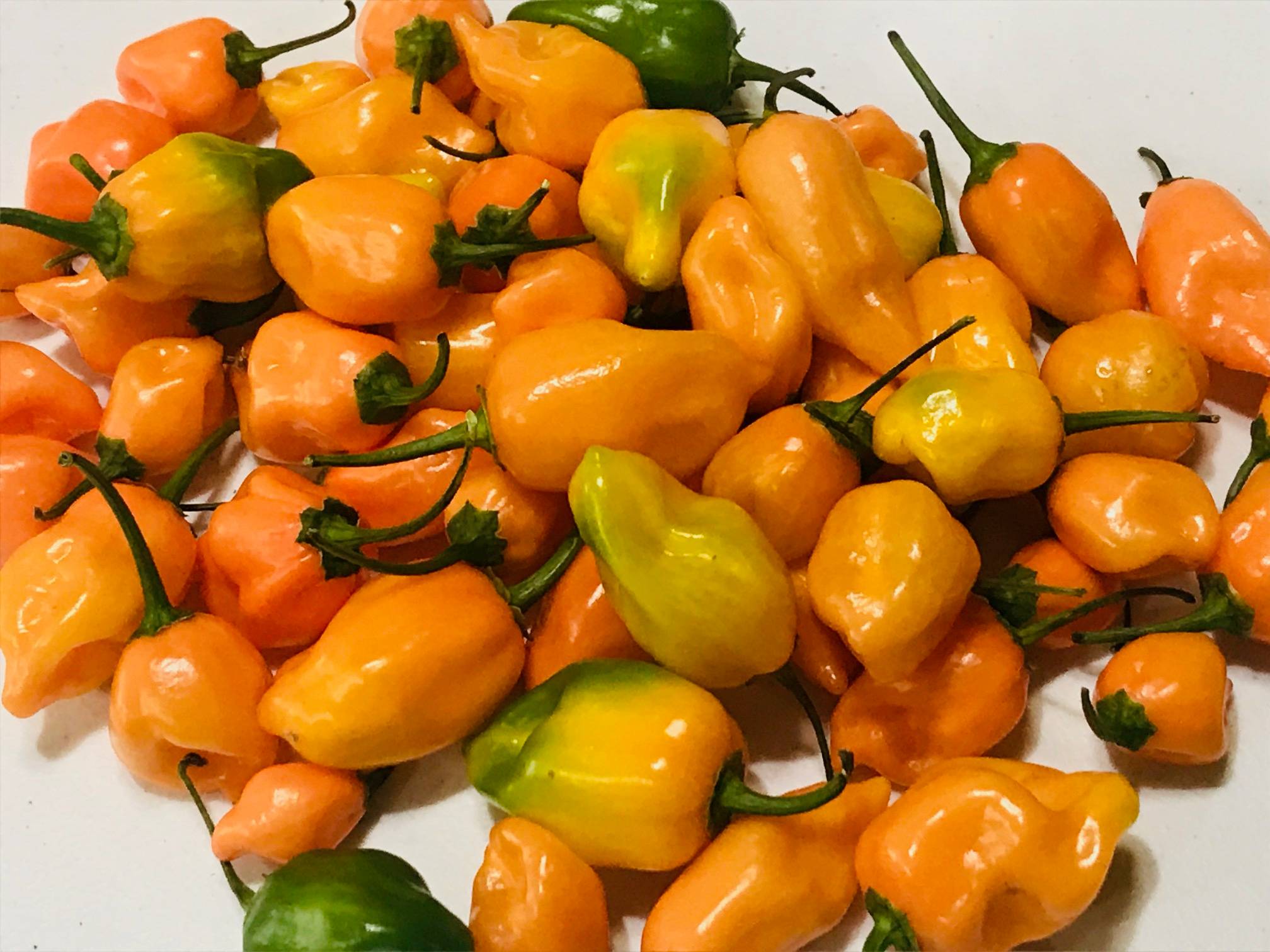 Where To Buy Pepper Seeds Online