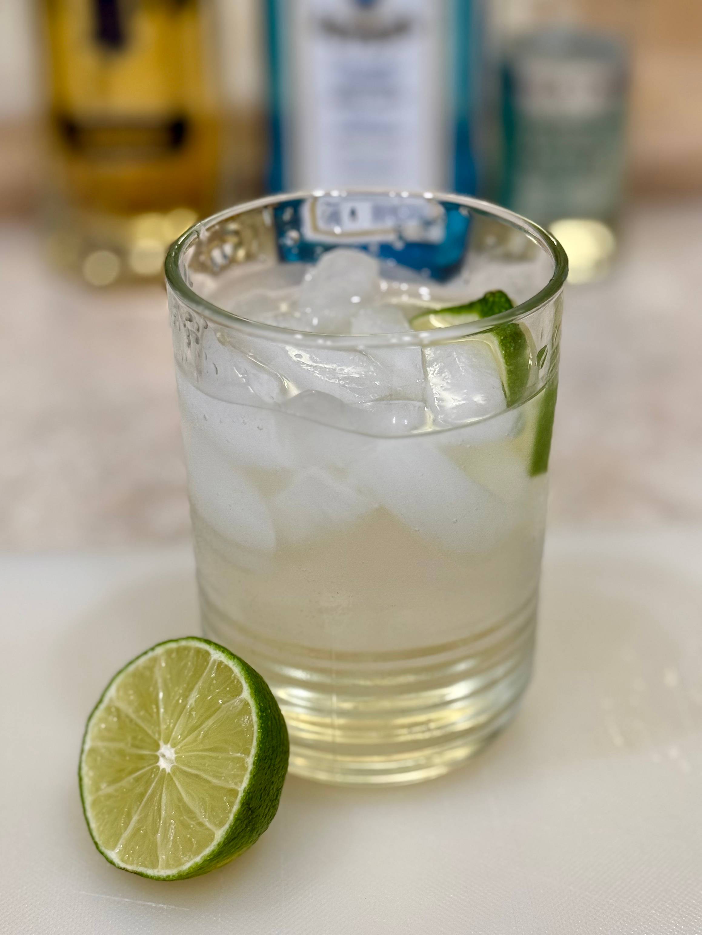 Elderflower Gin and Tonic drink recipe