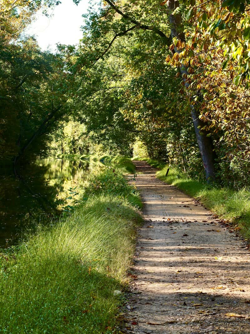 A dirt path along a calm canal shaded by lush green trees