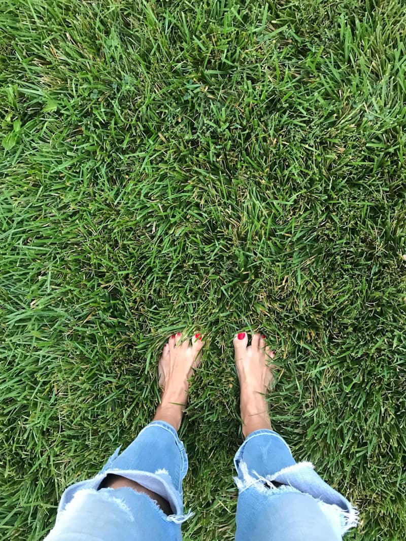 Bare feet with red nail polish on green lawn.