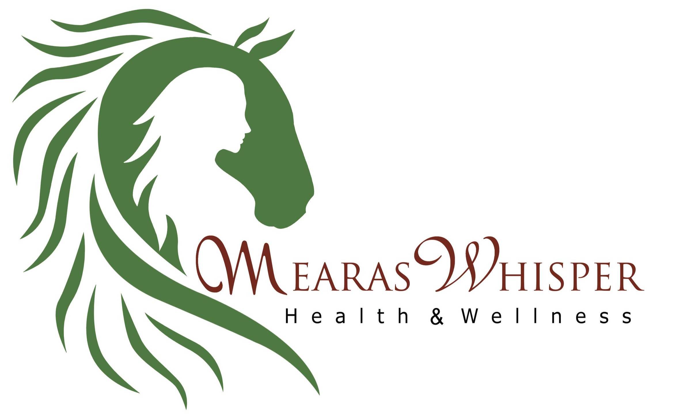 The Calm Connection Newsletter