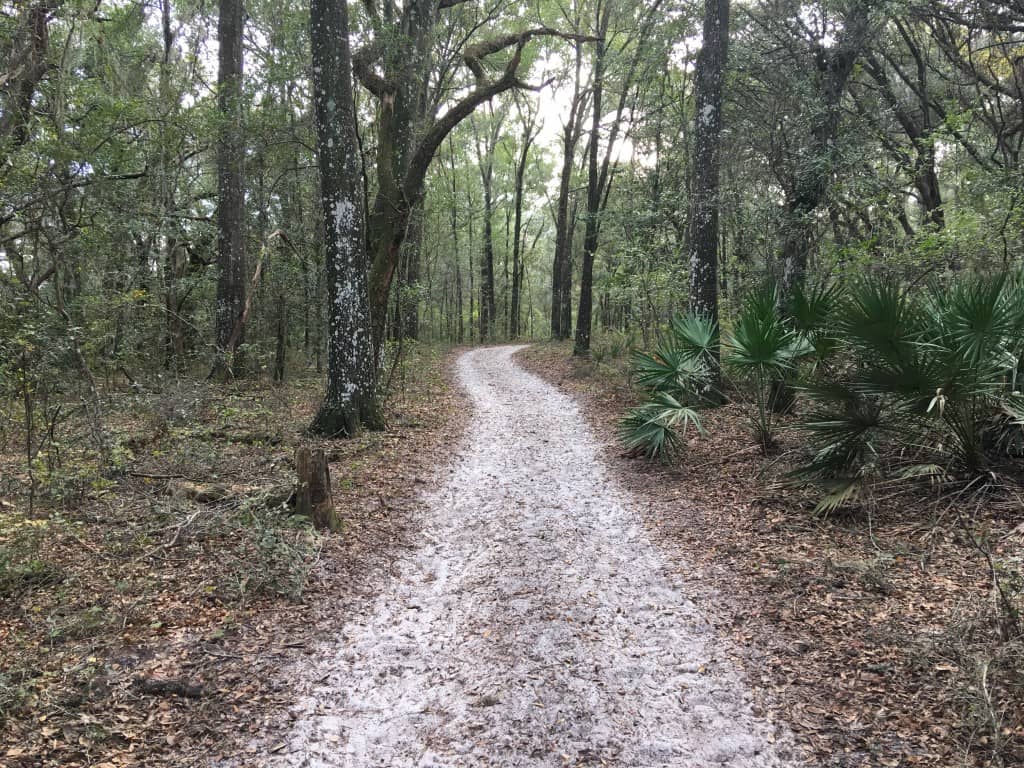 In the woods, talking about dying