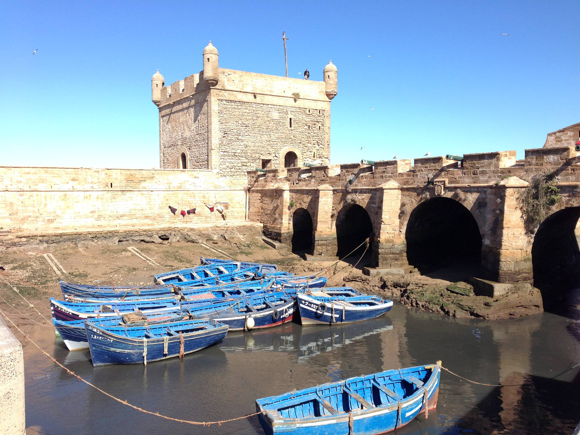 Blue boats attached to a harbor in Essaouira, Morocco