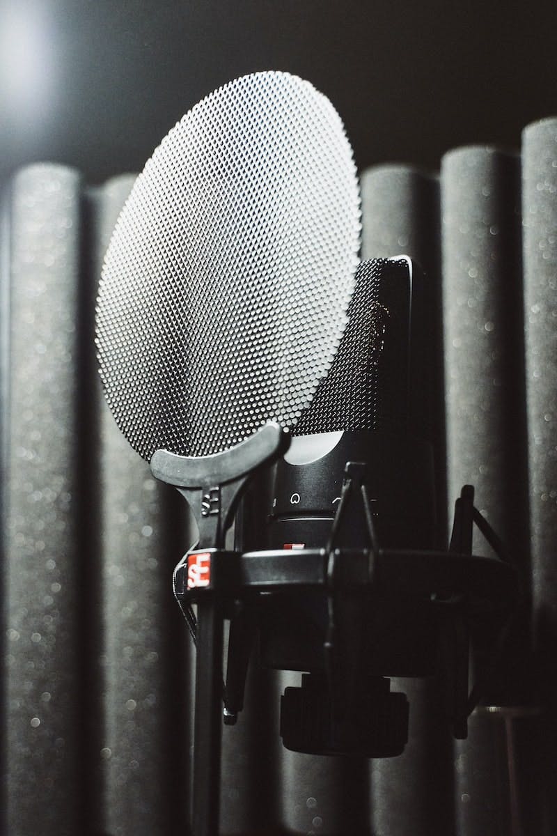 black and gray microphone with stand