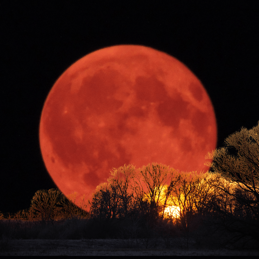 Bright orange harvest moon