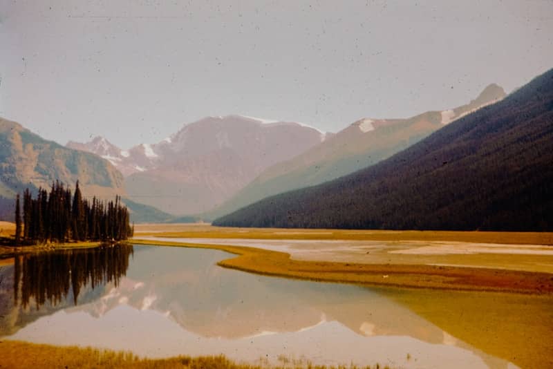 A body of water surrounded by mountains and trees