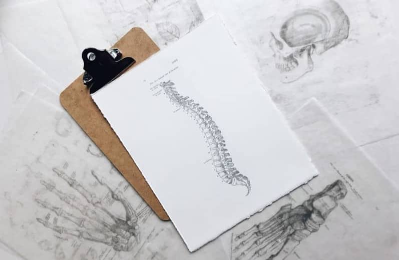 brown and black clipboard with white spinal cord print manual