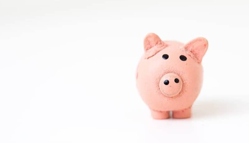 pink pig figurine on white surface