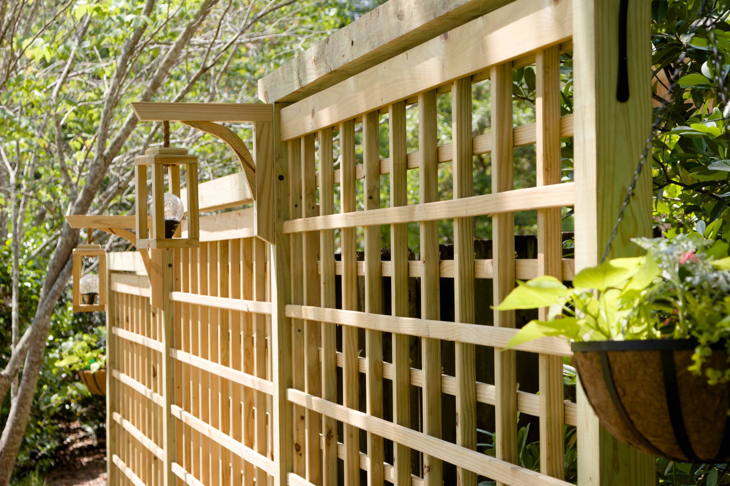 Garden Screen Trellis Plans