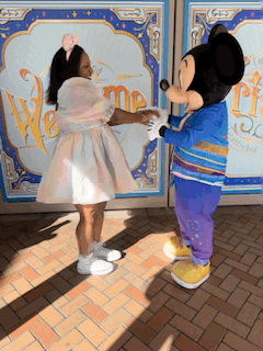 The Disneyworld Fund