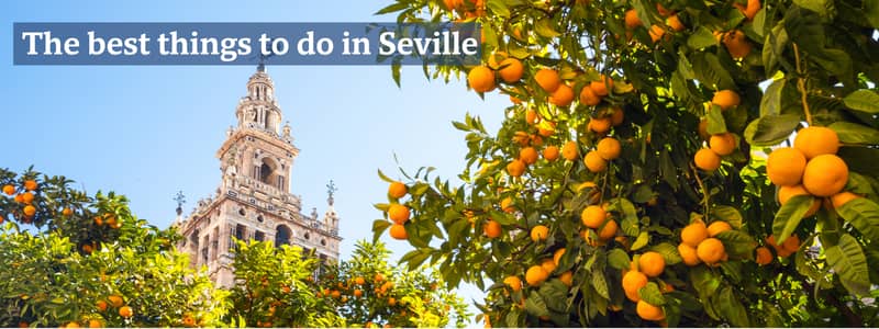 Orange trees and cathedral spire in Seville