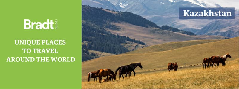 Horses in a field in Kazakhstan