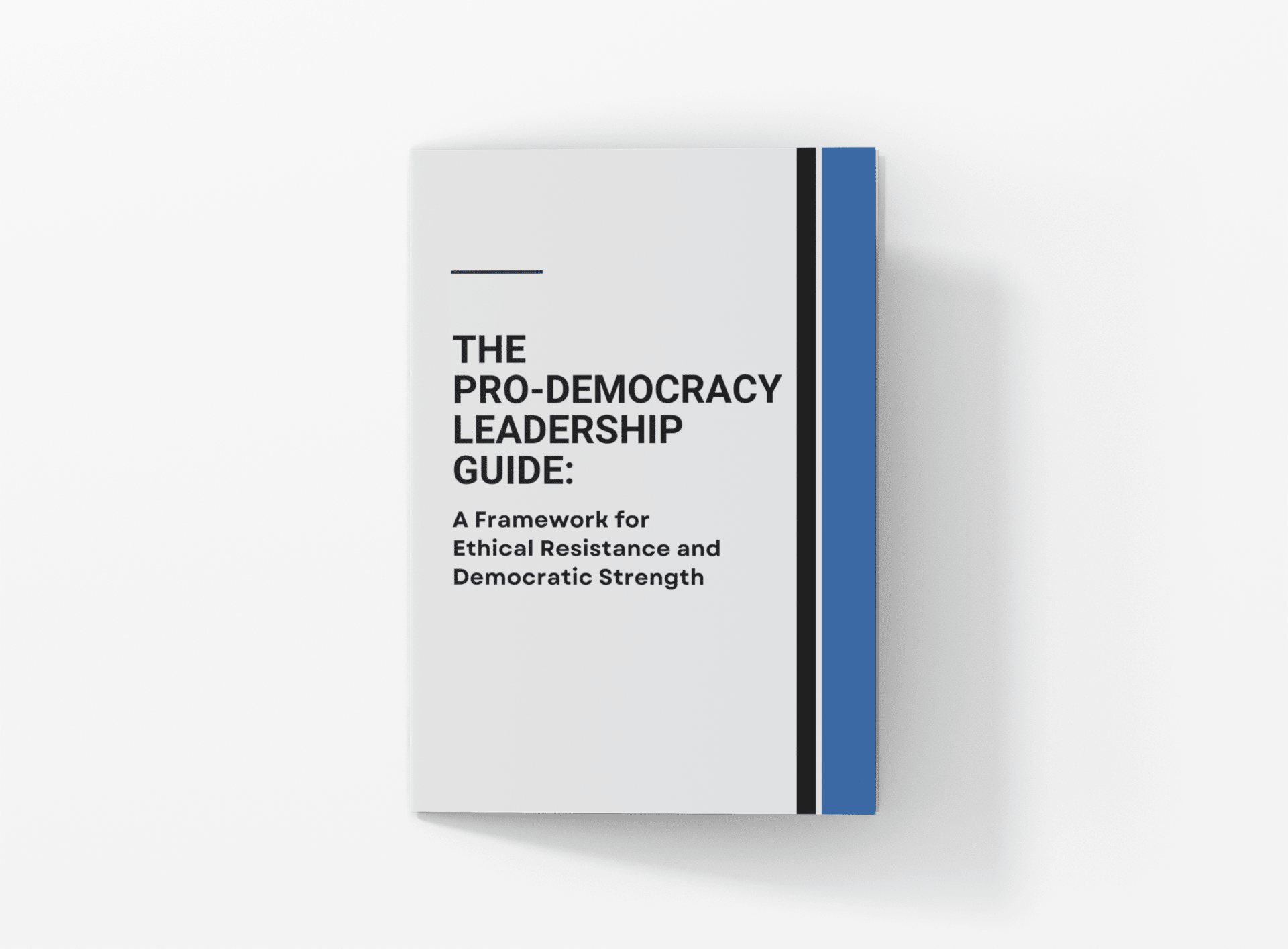 The Pro-Democracy Leadership Guide