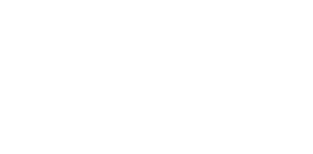 Karl Bimshas Consulting