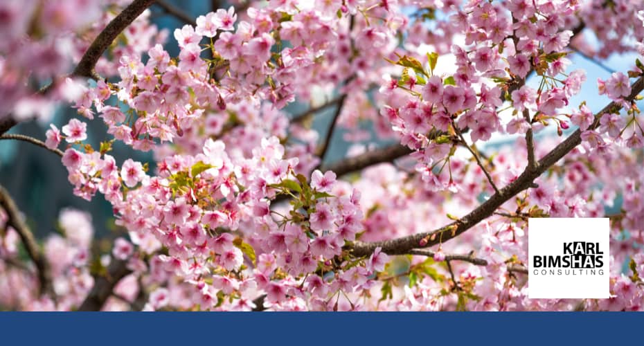 Spring Accouncements