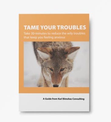 https://karl-bimshas-consuling.ck.page/products/tame-your-problems