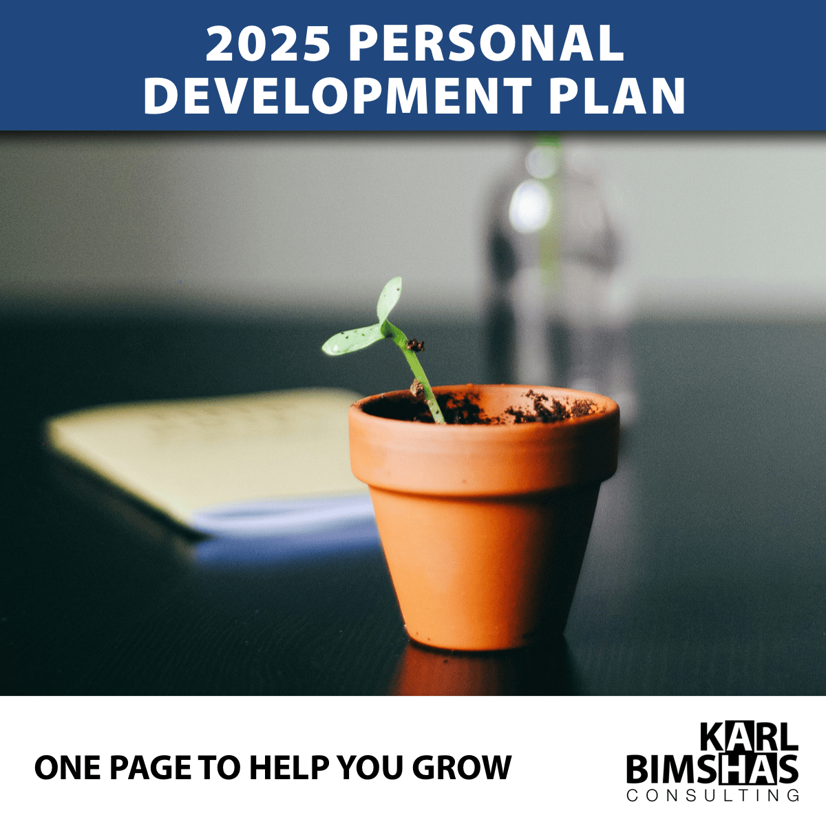 2025 Personal Development Plan