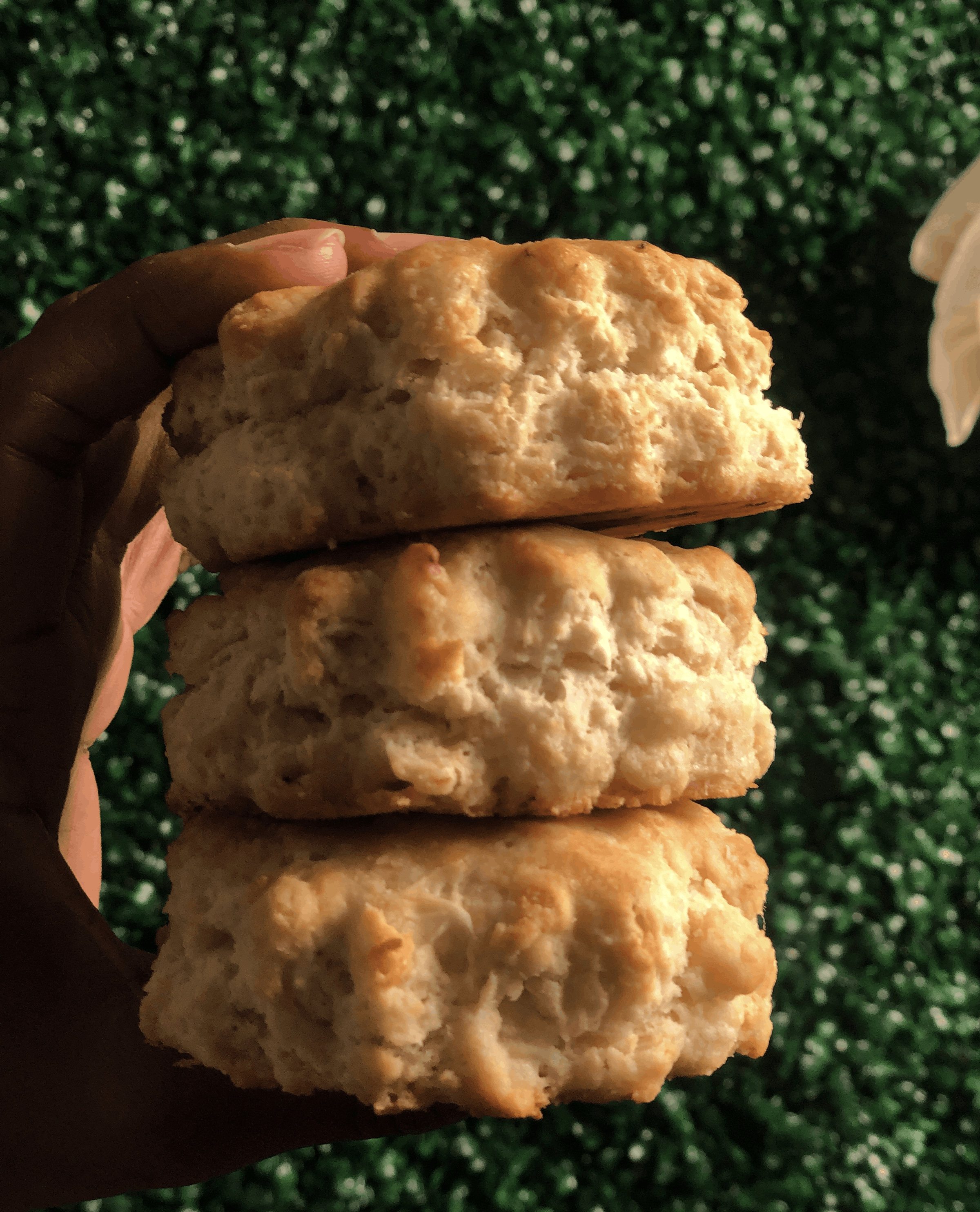 a hand holding 3 vegan buttermilk biscuits