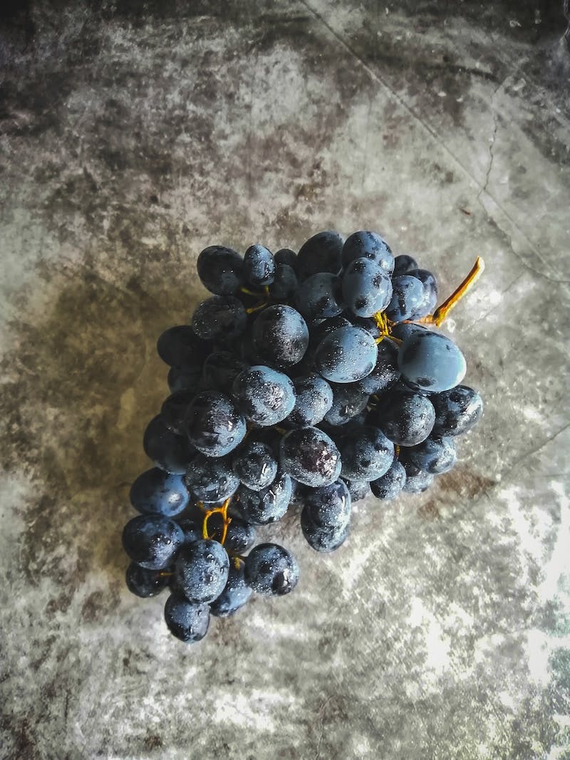 grapes on grey background
