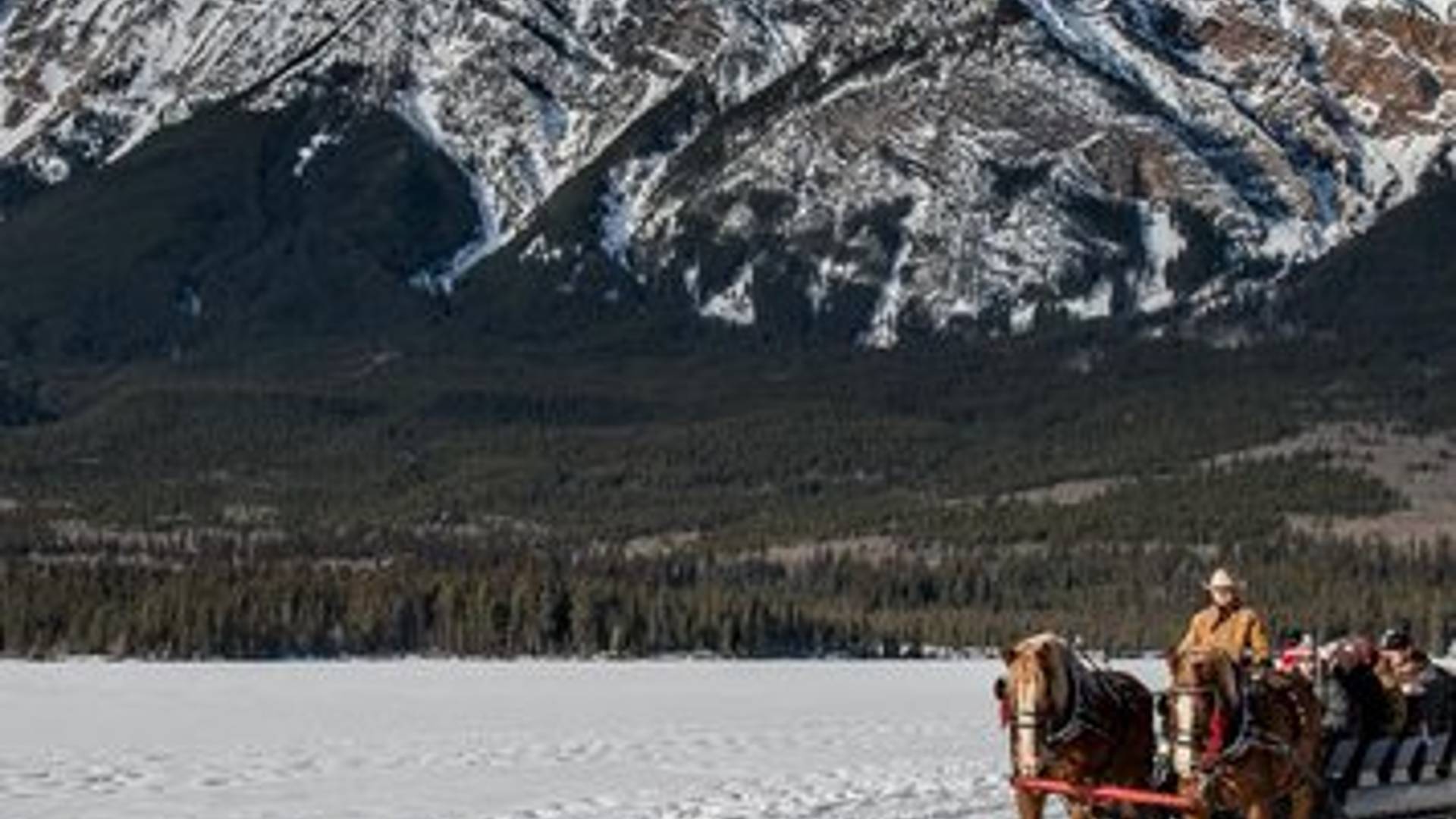 Sleigh Rides