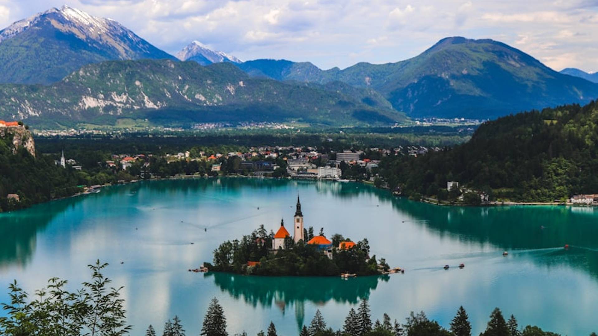 green trees near lake and mountains during daytime