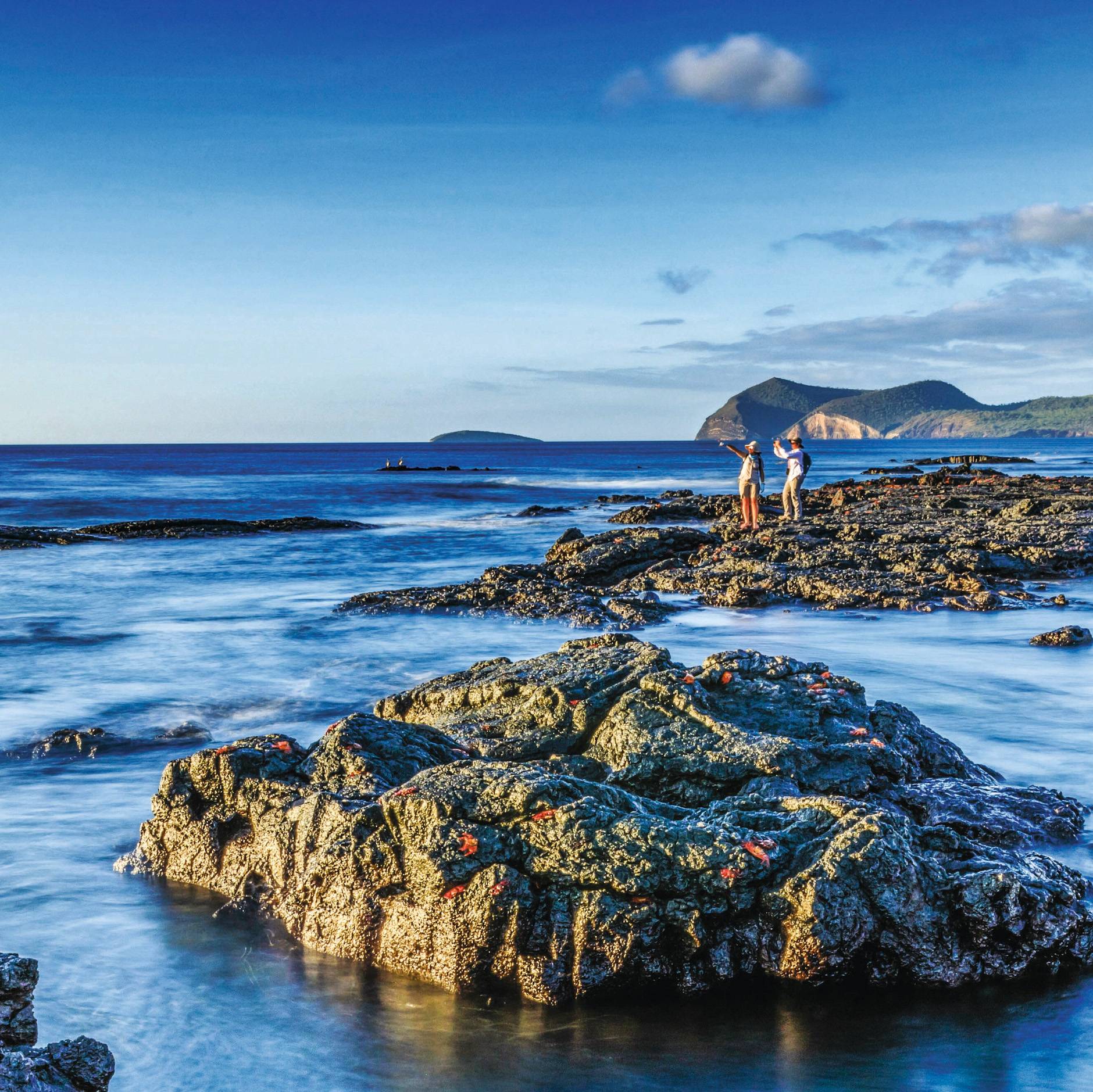 The Galápagos