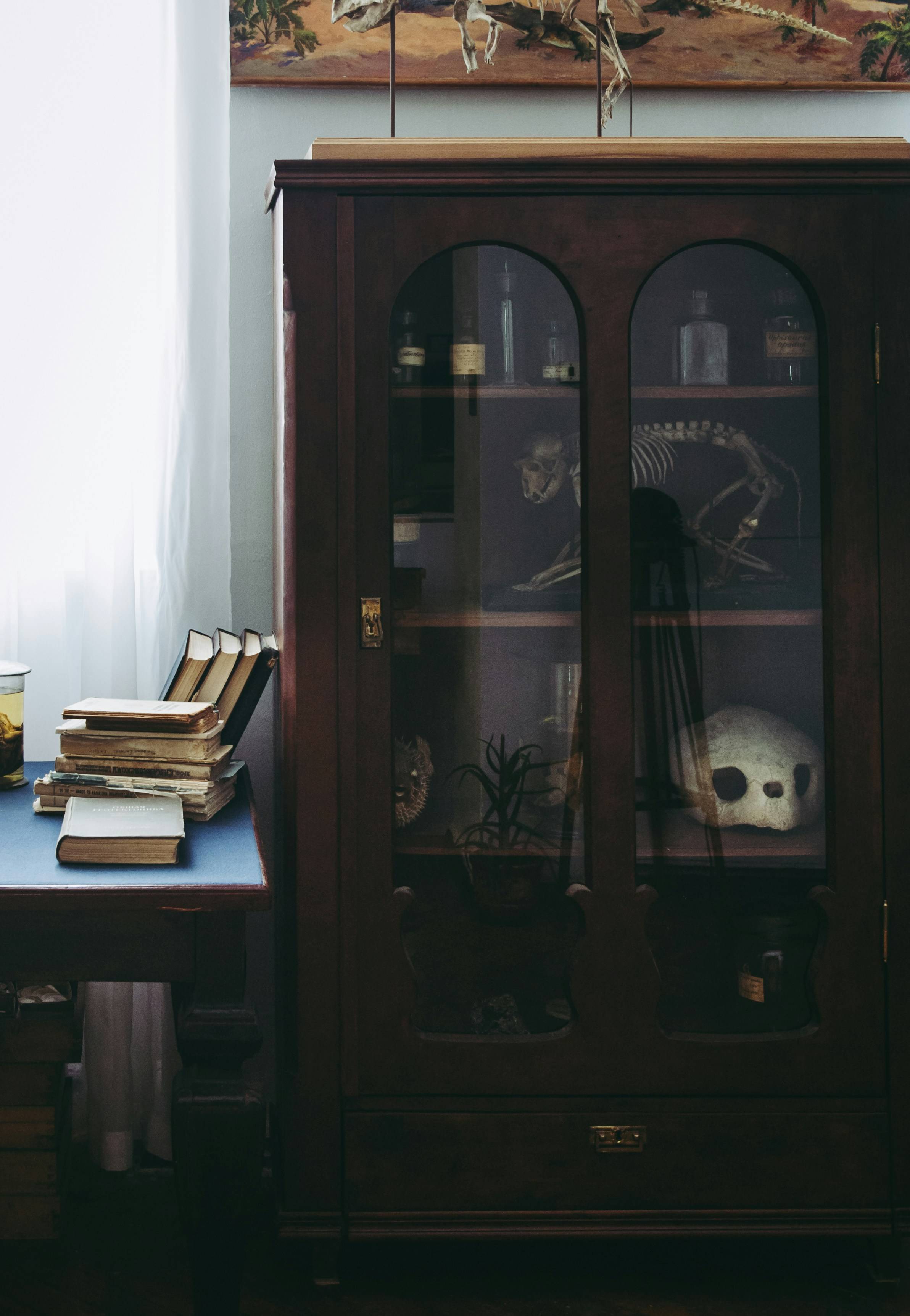 Photo by MoonMoons on Unsplash