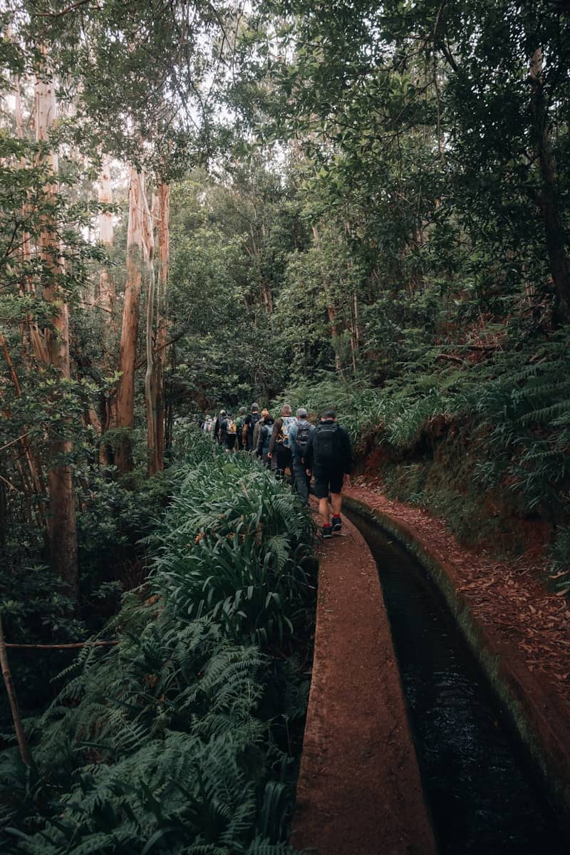Hikers walk along a narrow path beside a water channel.