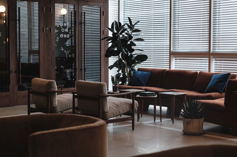 a living room filled with furniture and a tall plant