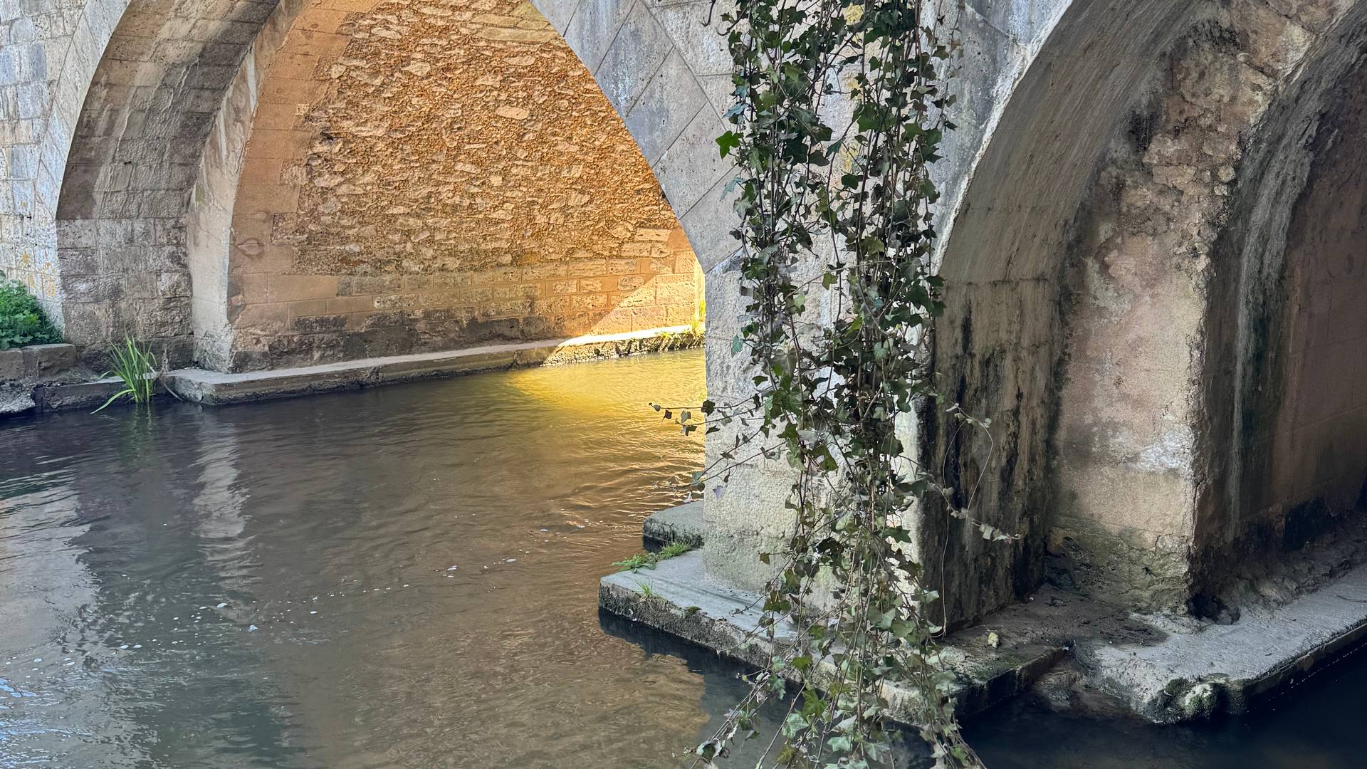 Marisa's photos from France