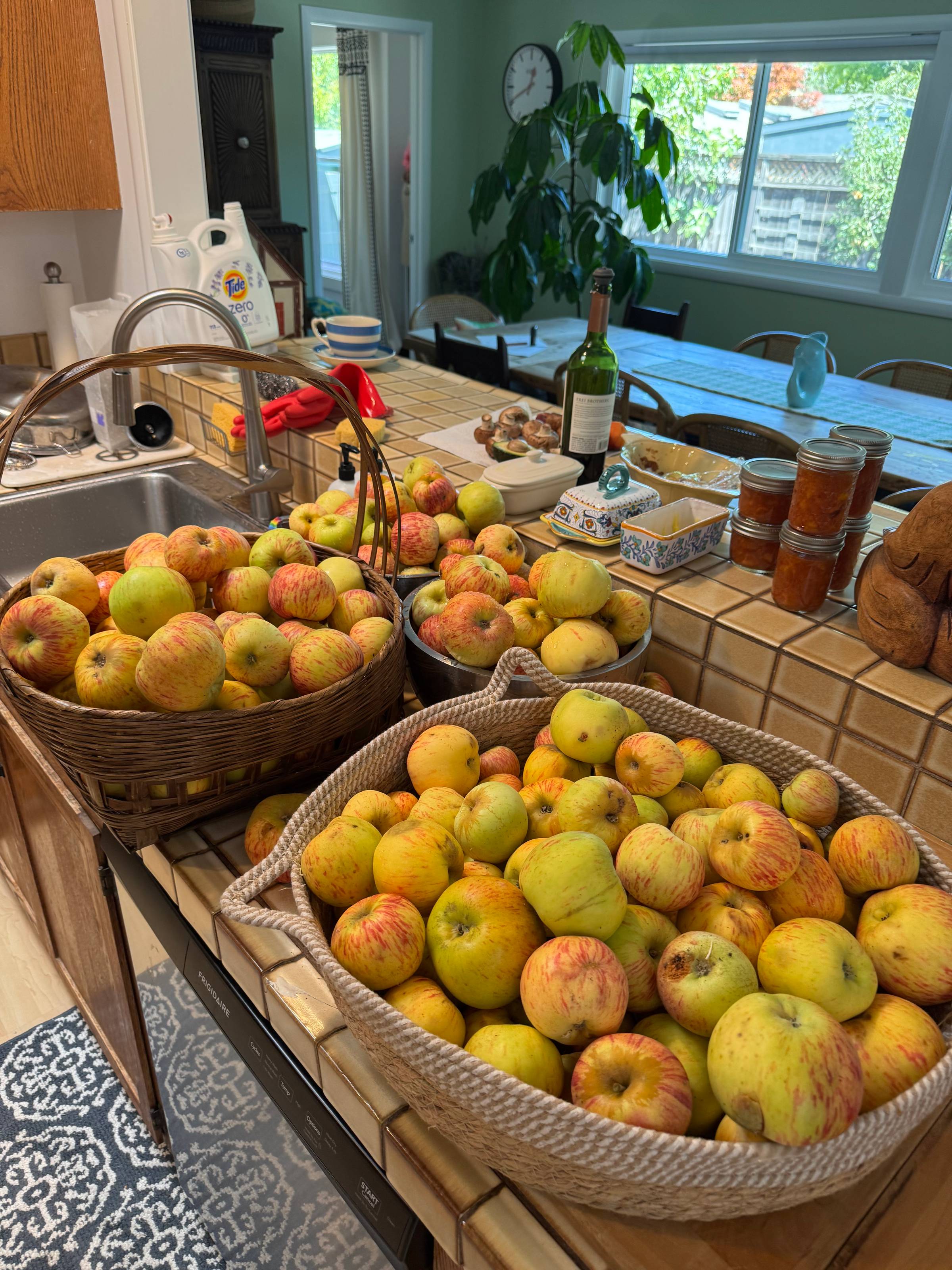Apples for healthy digestion this Fall