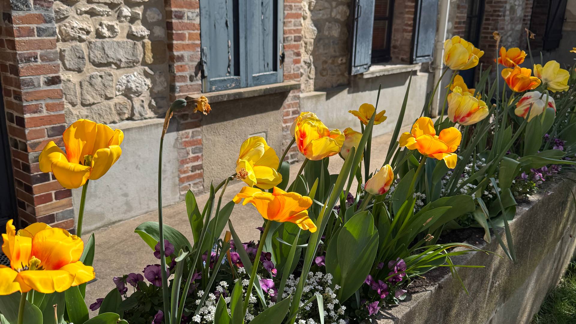 Marisa's photos from France