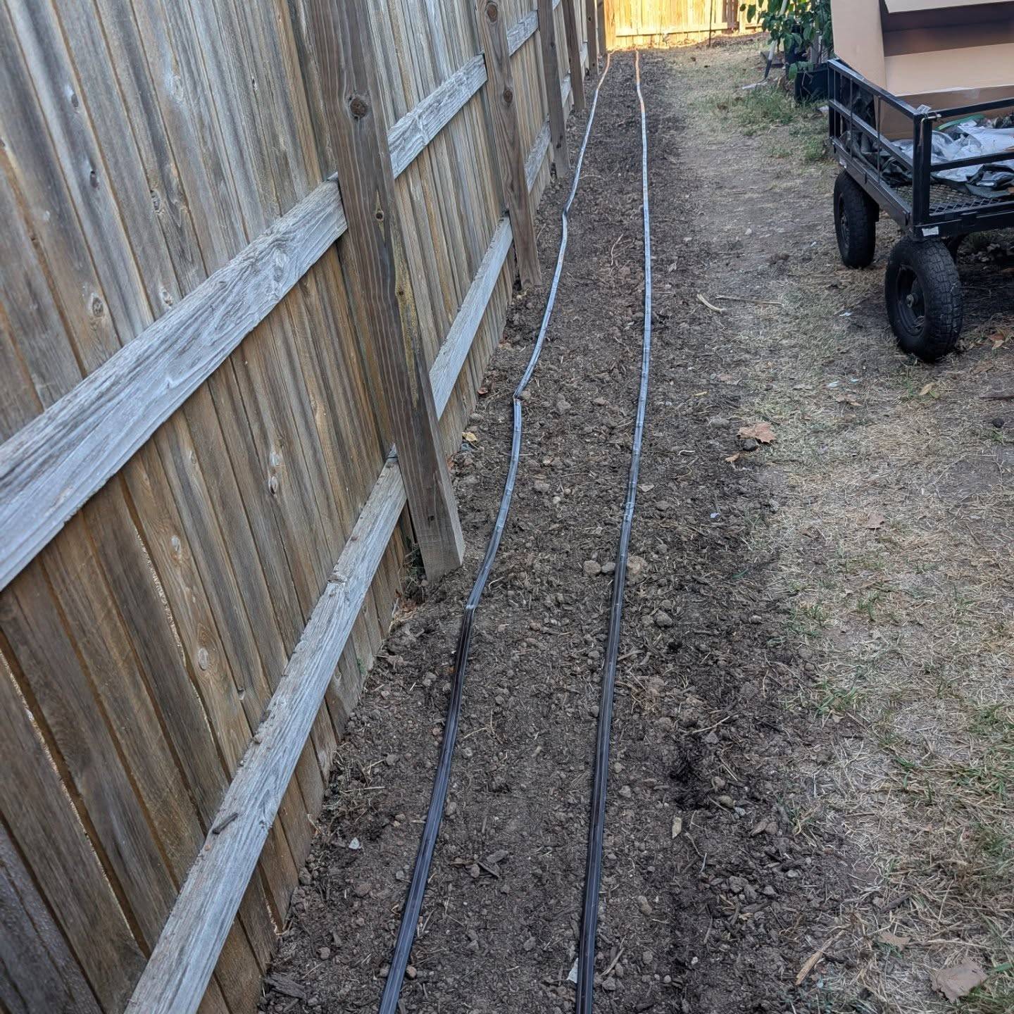 I feel like such a big girl having pro-grade irrigation finally. I installed this a few weeks ago and haven't run it (don't want water in the lines when freezes are imminent) but I'm pretty proud of myself for investing in the future of my farm and overcoming my fear of irrigation. 

Most of the credit goes to @icemoonfarmsllc for literally providing me with the info and confidence I needed to get it done. It's these types of steps that push me further from gardening as a hobby to the seriousness of a scalable flower farm. Just one more thing I'm doing to make sure I can provide my neighbors and community with sustainability grown, local color 🌻🥹🥹

.
.
.
#flowerfarm #irrigation #coolflowers