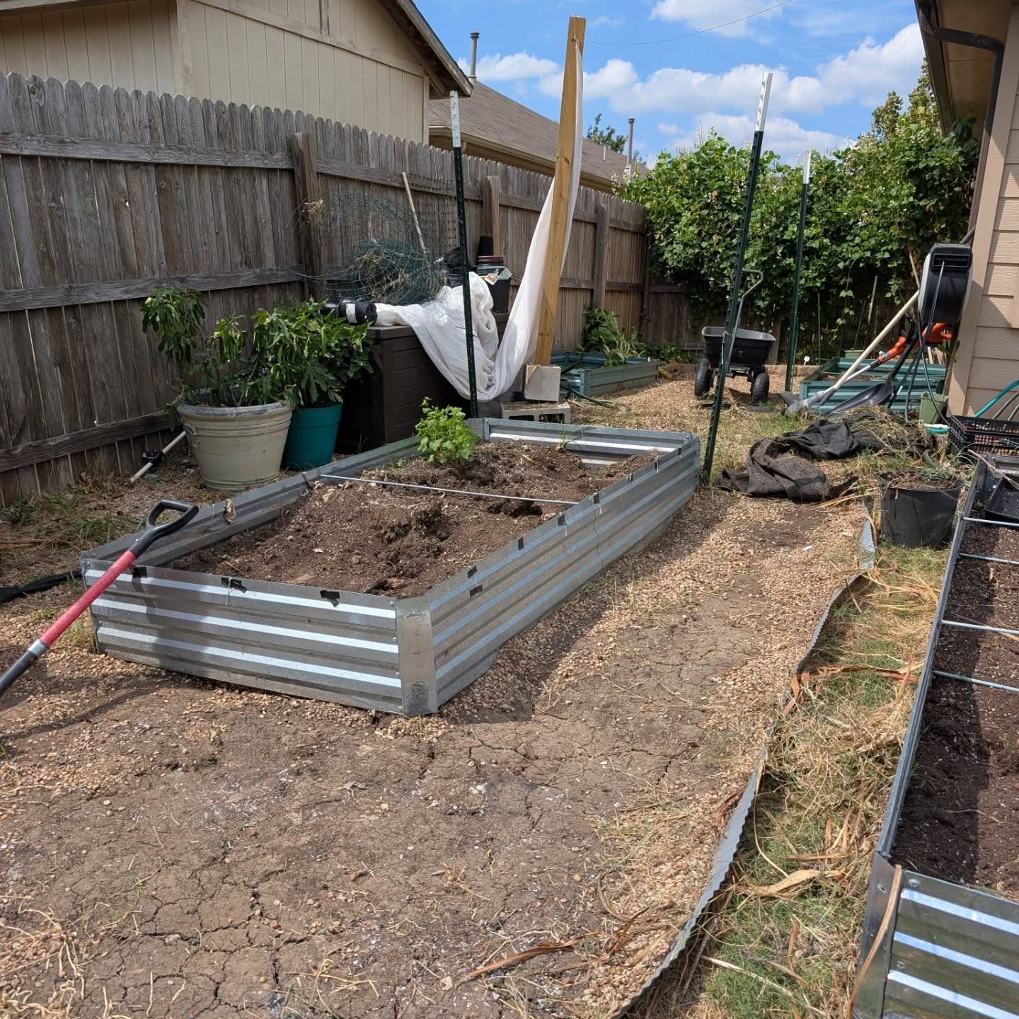 Heavens! I know it seems like I've disappeared into the ether but like most flower farmers, I'm deep.in next season prep. I made the decision to pull up a more "decorative garden" I installed last year to make more space for a few more beds. 

My seedlings I started in Sept are gardening off to get ready to go in the ground. I'm a *little* behind but watching the weather like a hawk. It's hard being a first season farmer and to trust that my teeny seedlings that can handle 12 degrees, can also handle 80 degrees 🥵

Well never known until we try though 🤭😉

Ps. I did get 40 super small peony roots planted. I know people like to buy the big ones to get flowers faster but I've had success growing tropical plants in colder than usual conditions from seeds so it's an experiment! Fingers crossed the next few years is kind to them 🤞🏽