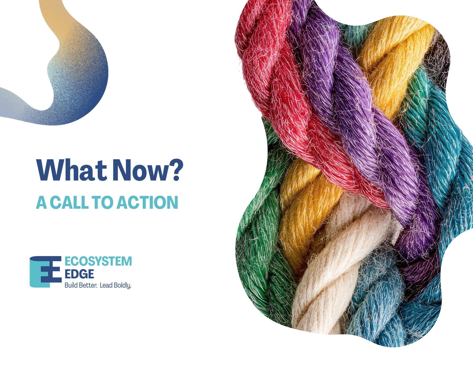 What Now? A Call to Action